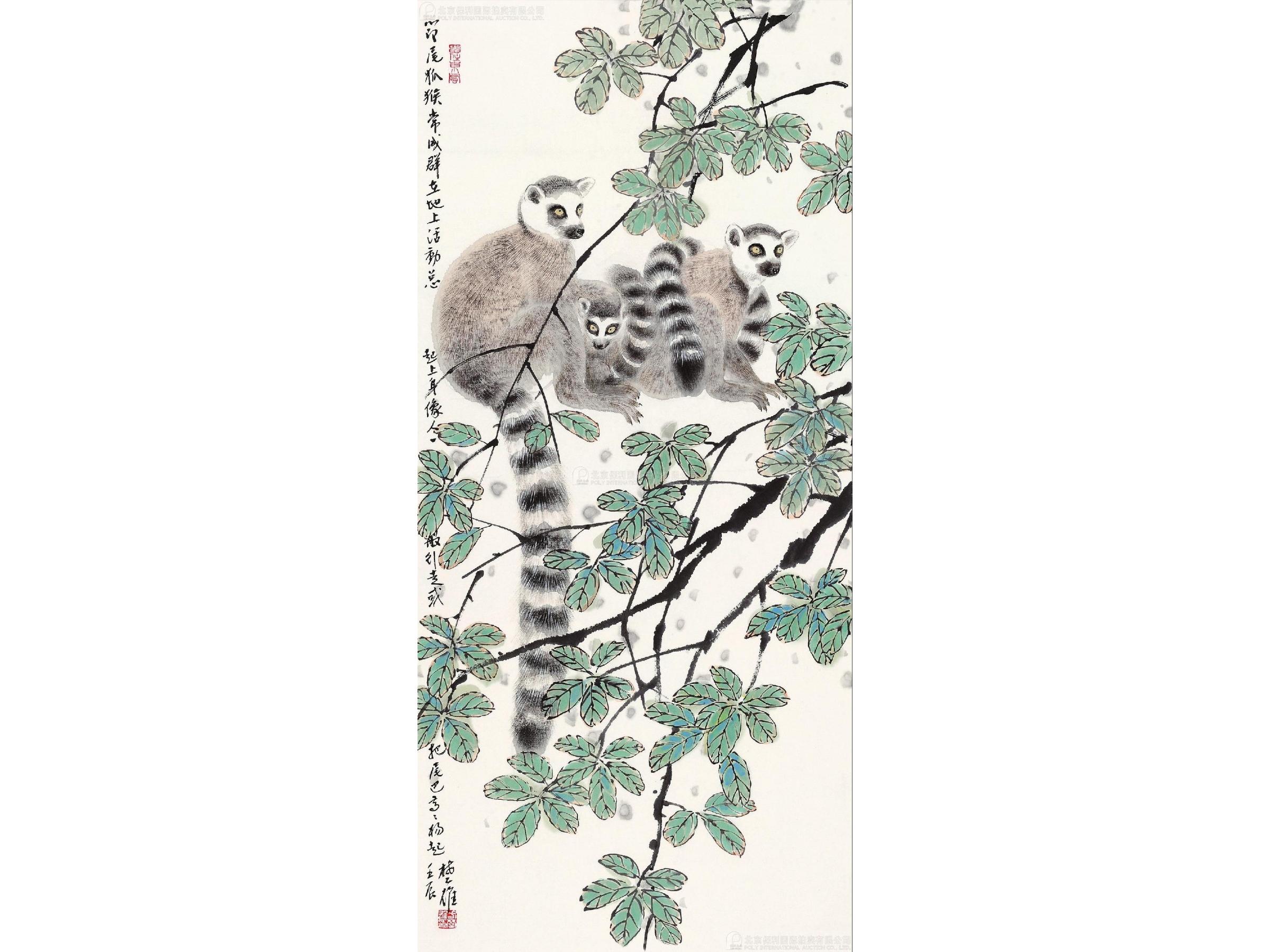 1950) 节尾狐猴